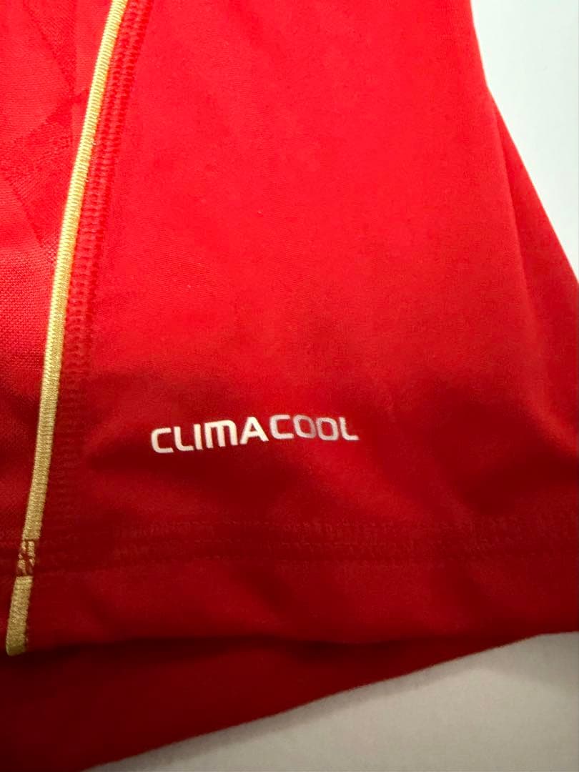 ICONS リバプール トーレス 直筆サイン入り ユニフォーム リヴァプール