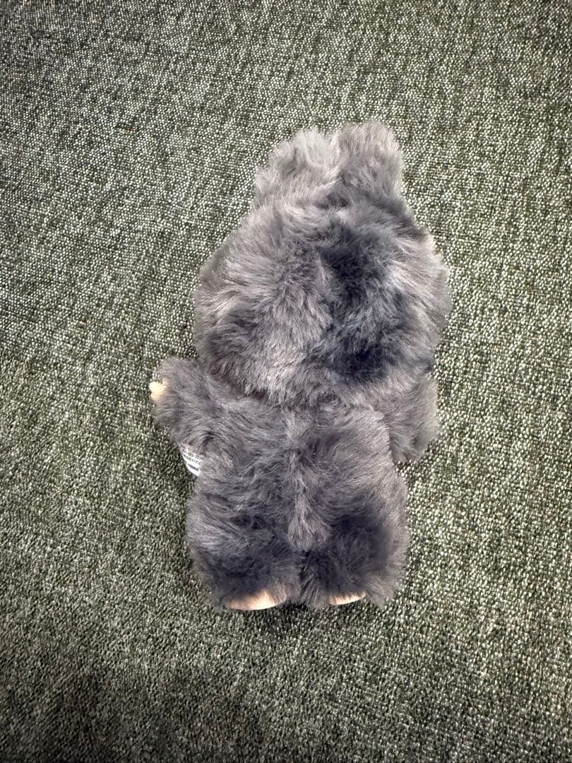 竜王☆専用出品 ラブブ　シークレット　エナジー