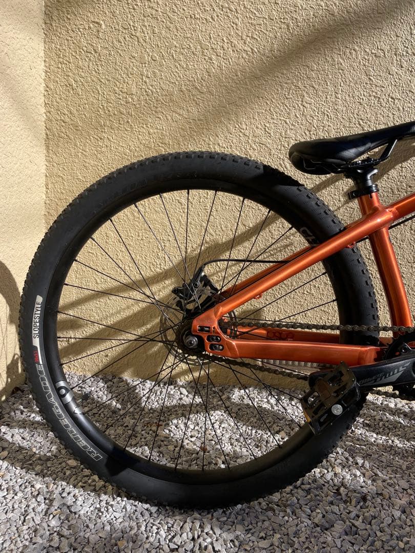 リー　送料無料 Specialized p.3 pro ダートジャンプ