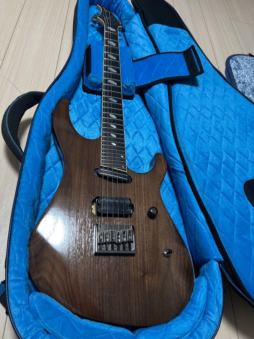 ギター Caparison Horus WB FX EF