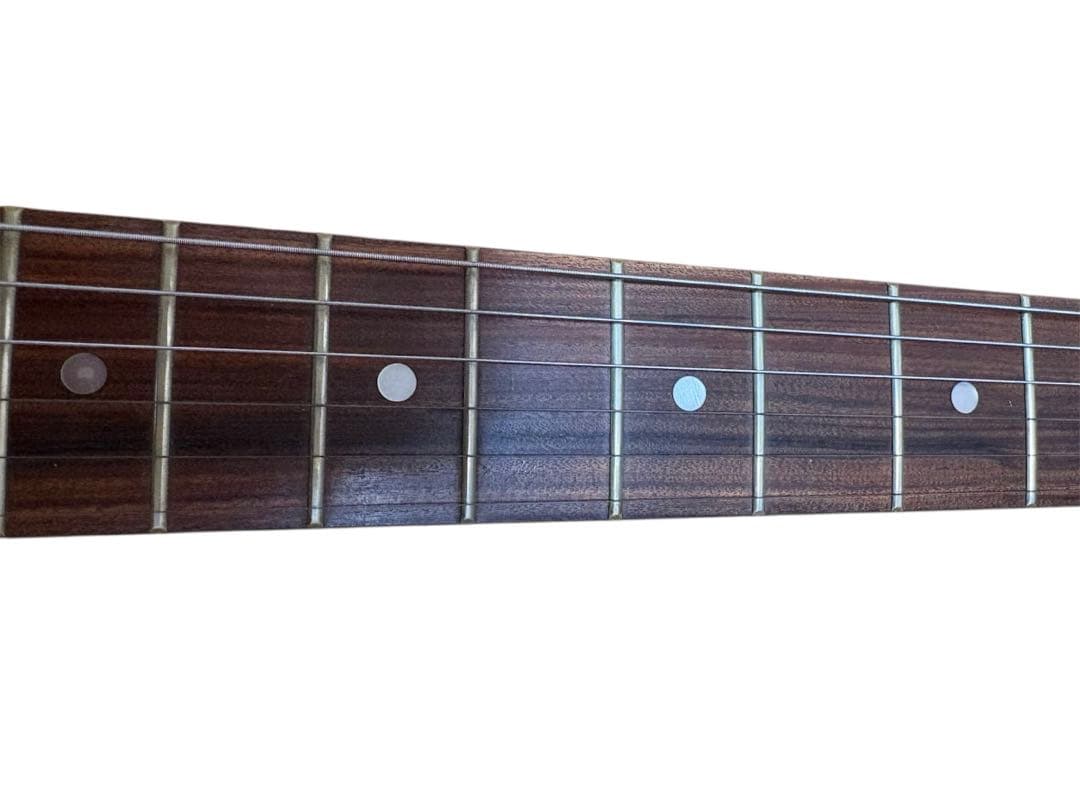 【美品】FERNANDES DIGI-ZO エレキギター 専用ケース付き