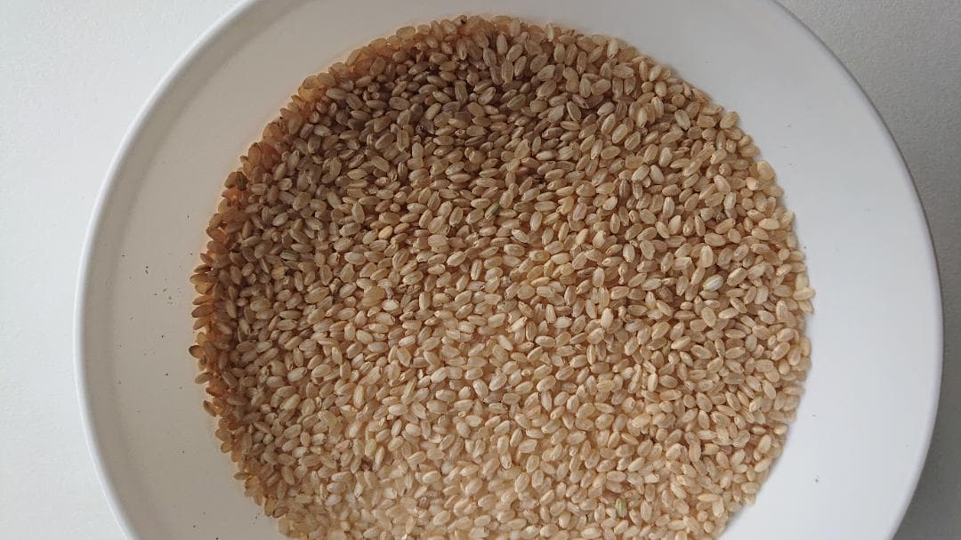 キヌヒカリ 玄米 20キロ 減農薬 お米