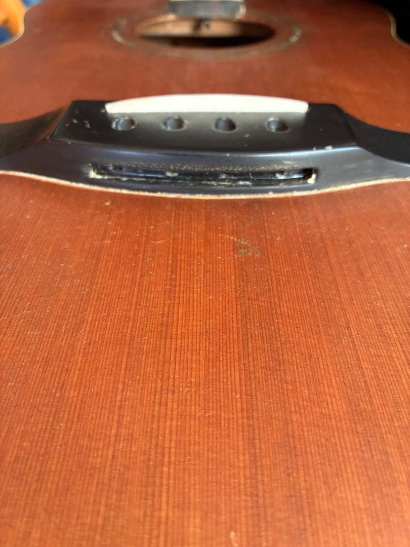 Alegre アコースティックベース　アンプ接続可能