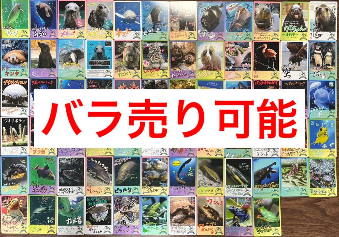 鳥羽水族館 コレクションカード バラ売り
