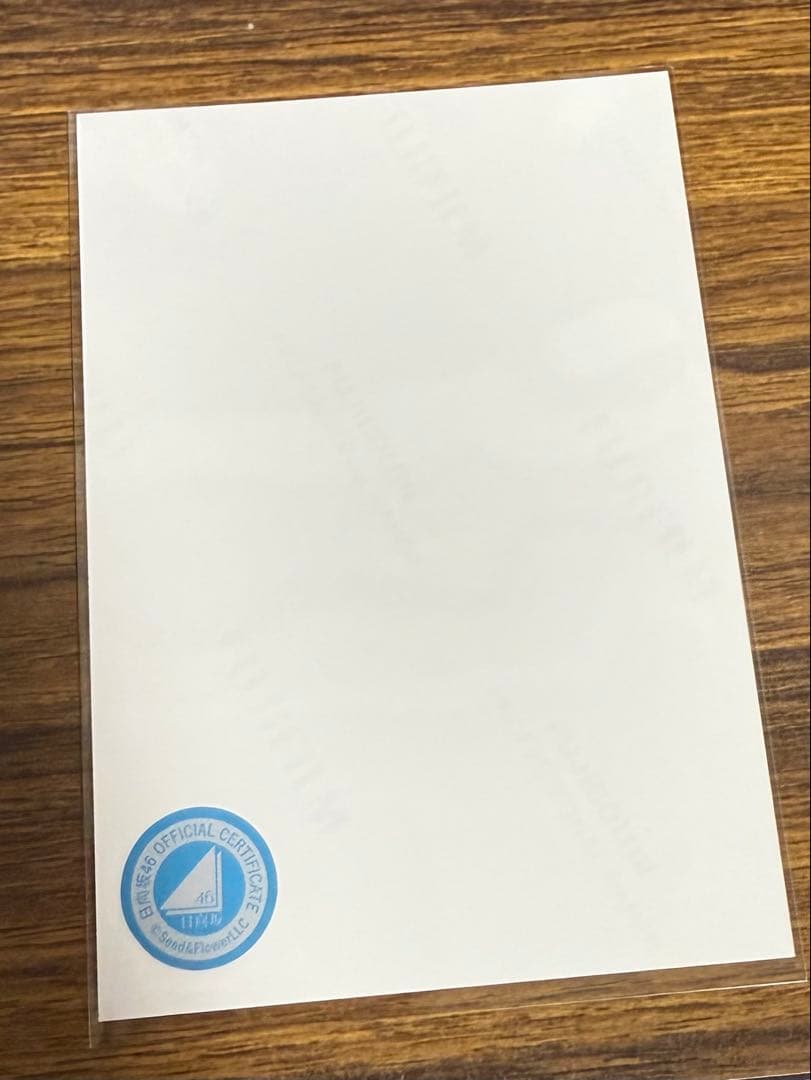 日向坂46 加藤史帆　直筆サイン　サンタ衣装　生写真