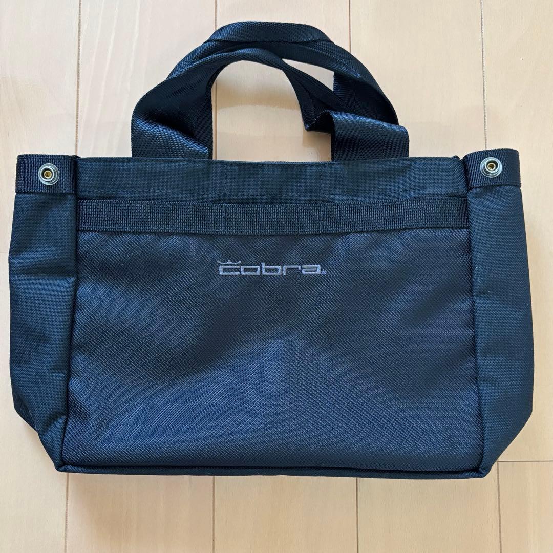 ブリーフィングゴルフ　カートバック