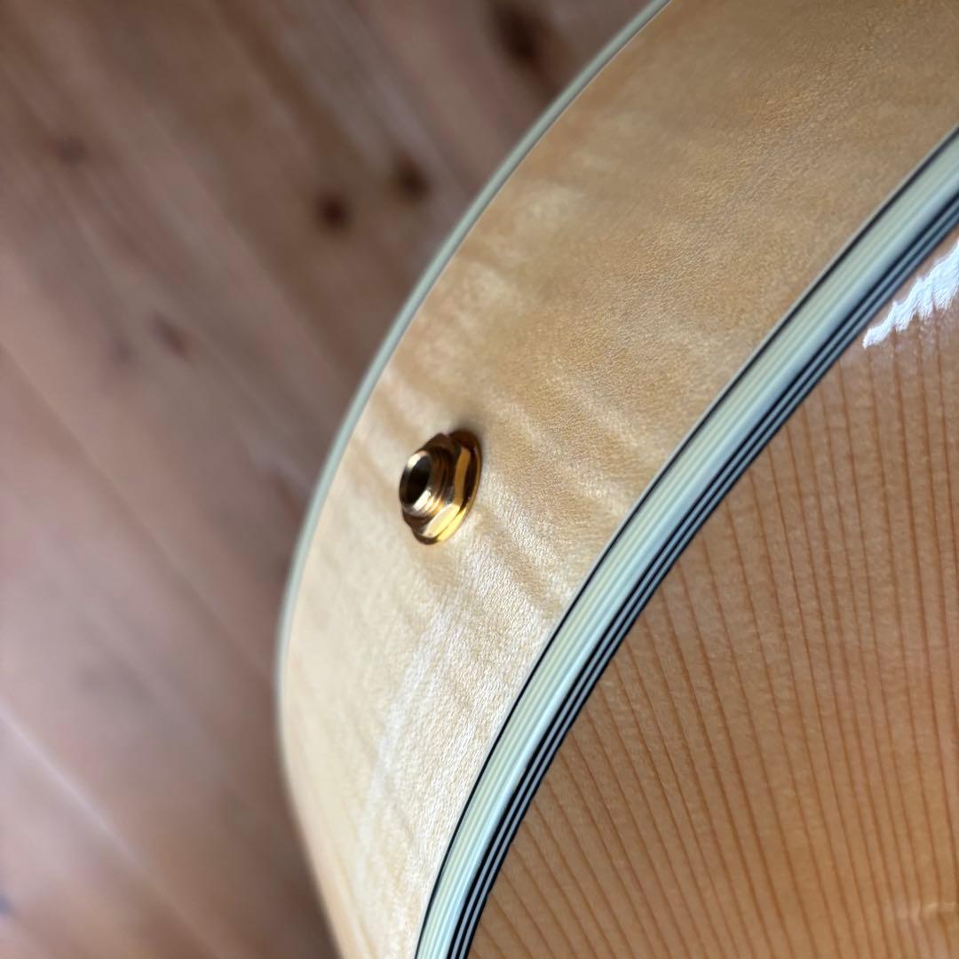 2019年製 Eastman AR810CE