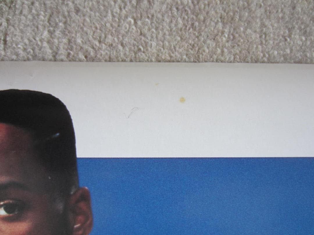 アロンゾ モーニング　ドリームチームポスター　ALONZO MOURNING