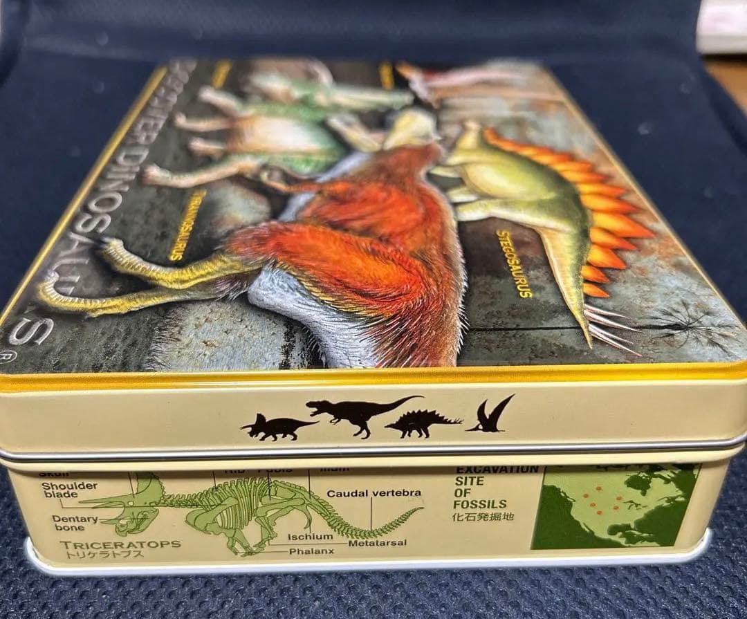 ダイナソー　チョコレートの空き箱