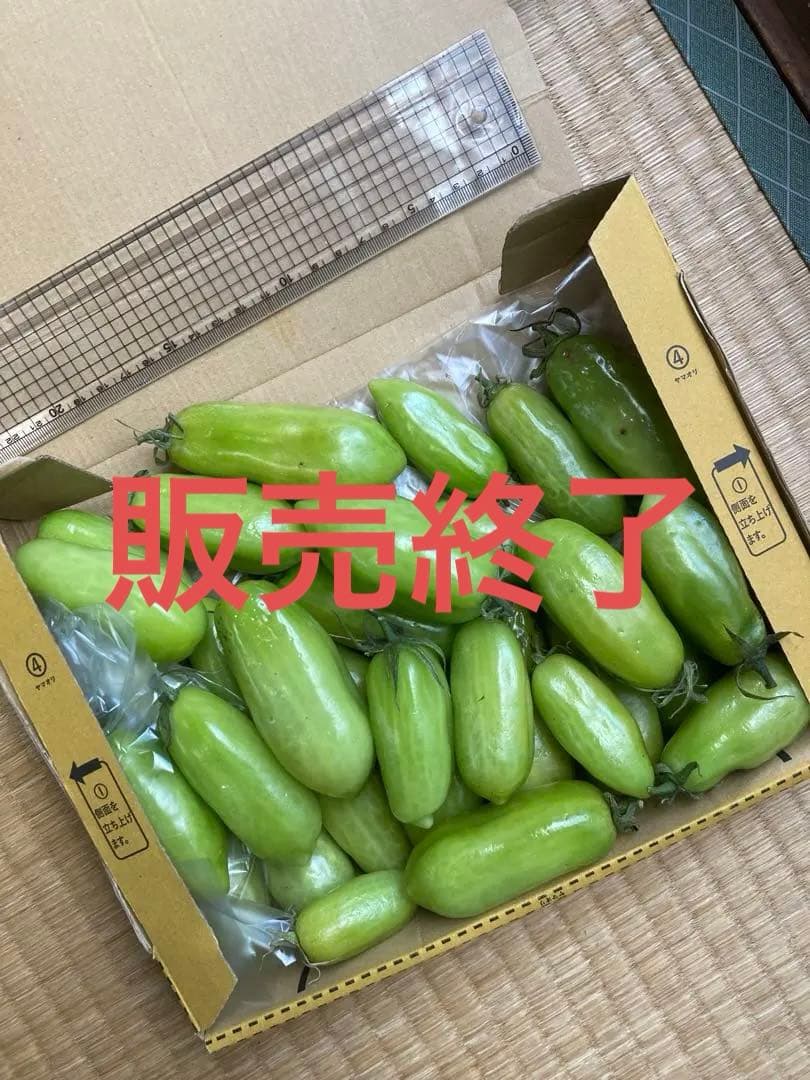 青いトマト　サンマルツァーノ　②