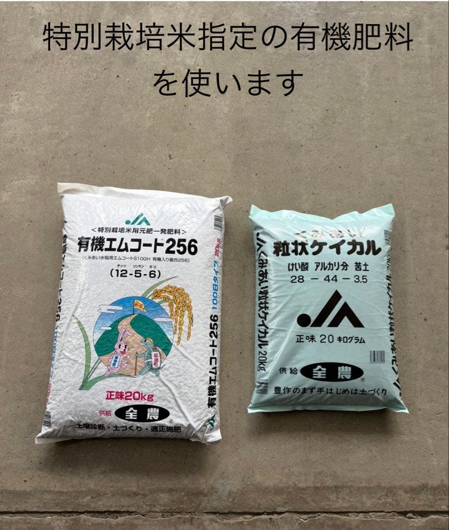 令和7年度愛媛県産コシヒカリ10k 特別栽培米　エコえひめ(一等米)