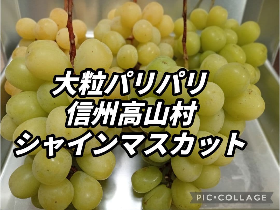 紅ゆうか　シャインマスカット 4キロ
