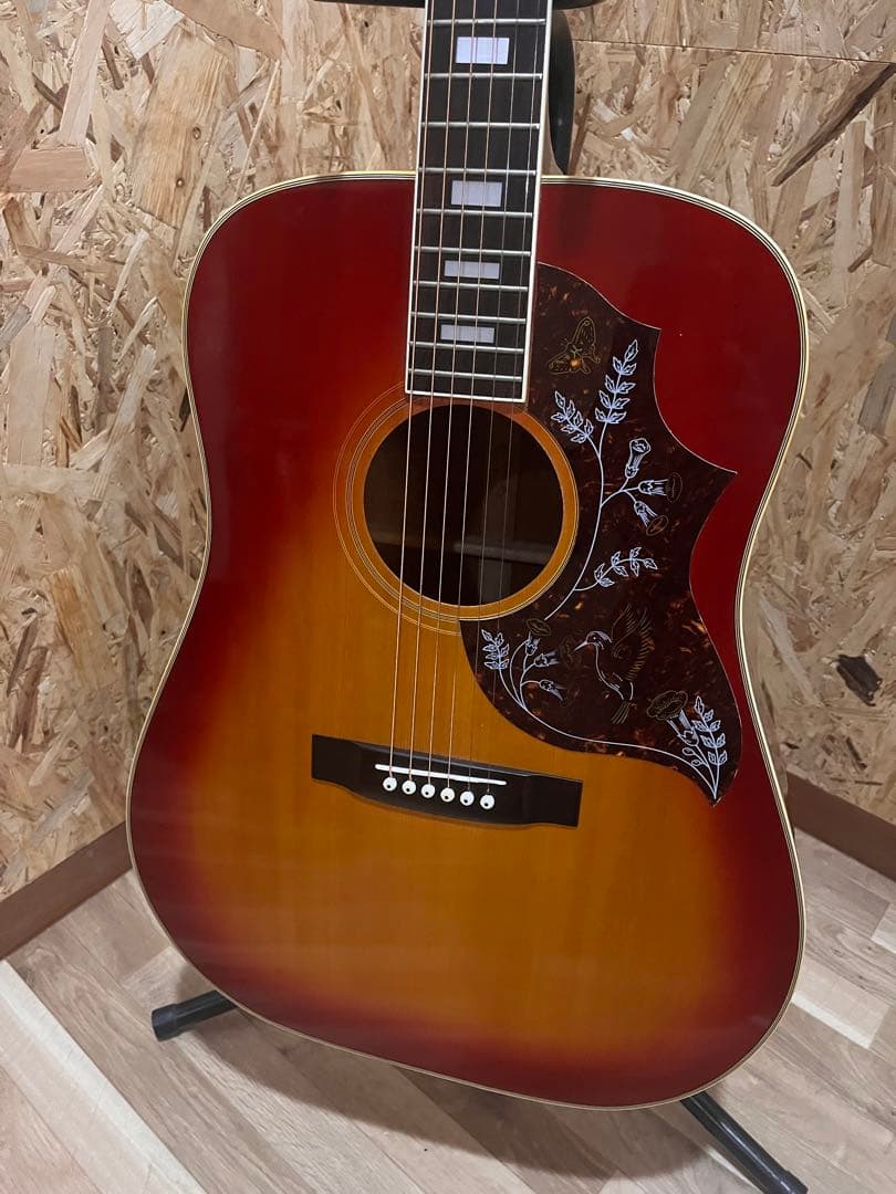 ★モラレス ハミングバード　Hummingbird 1970,s