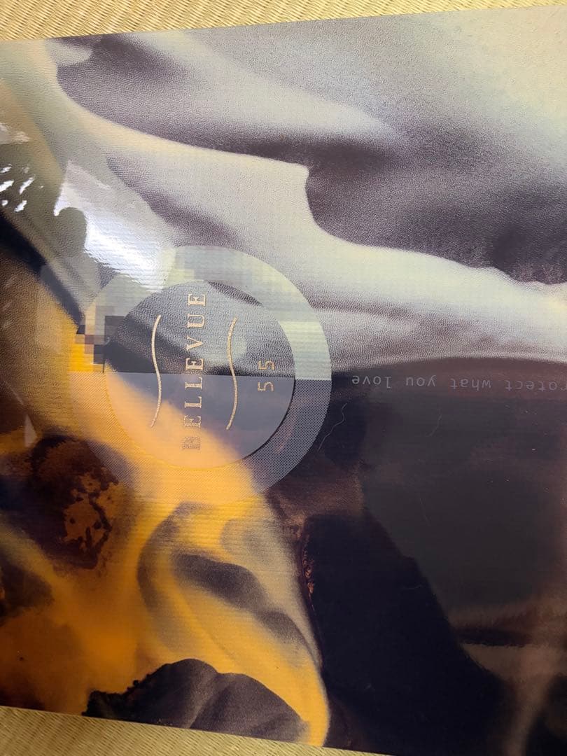 SALOMON / BELLEVUE / 155 /サロモン / ベルビュー