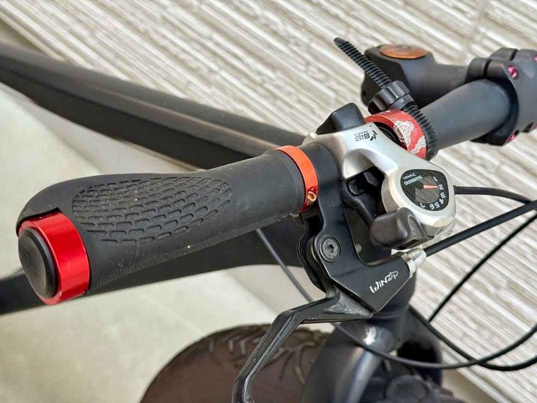 ファットバイク