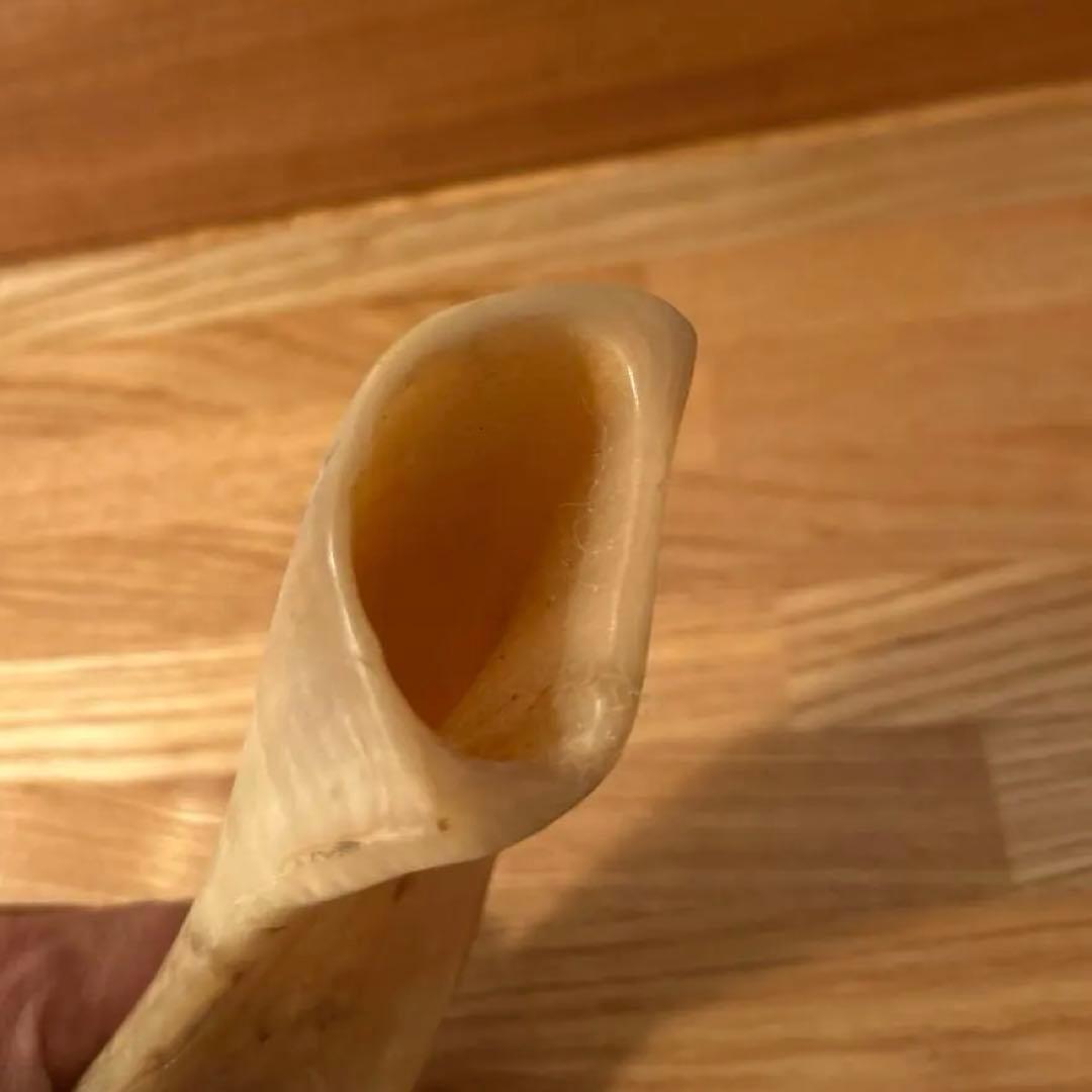 Shofar ショファール 約30cm メノラー刻印あり 実用可