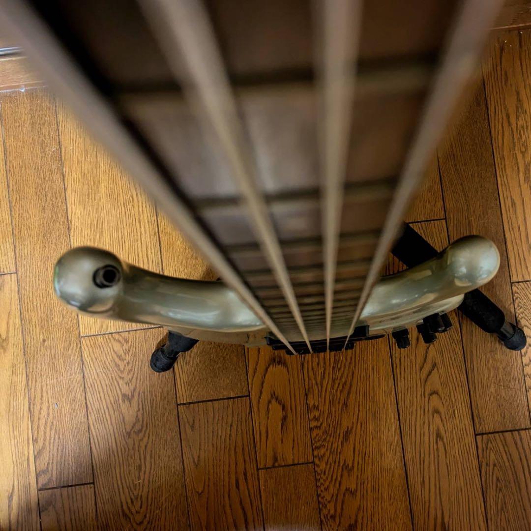 激レア　エルゴダイン　Ibanez EDC700 エレキベース