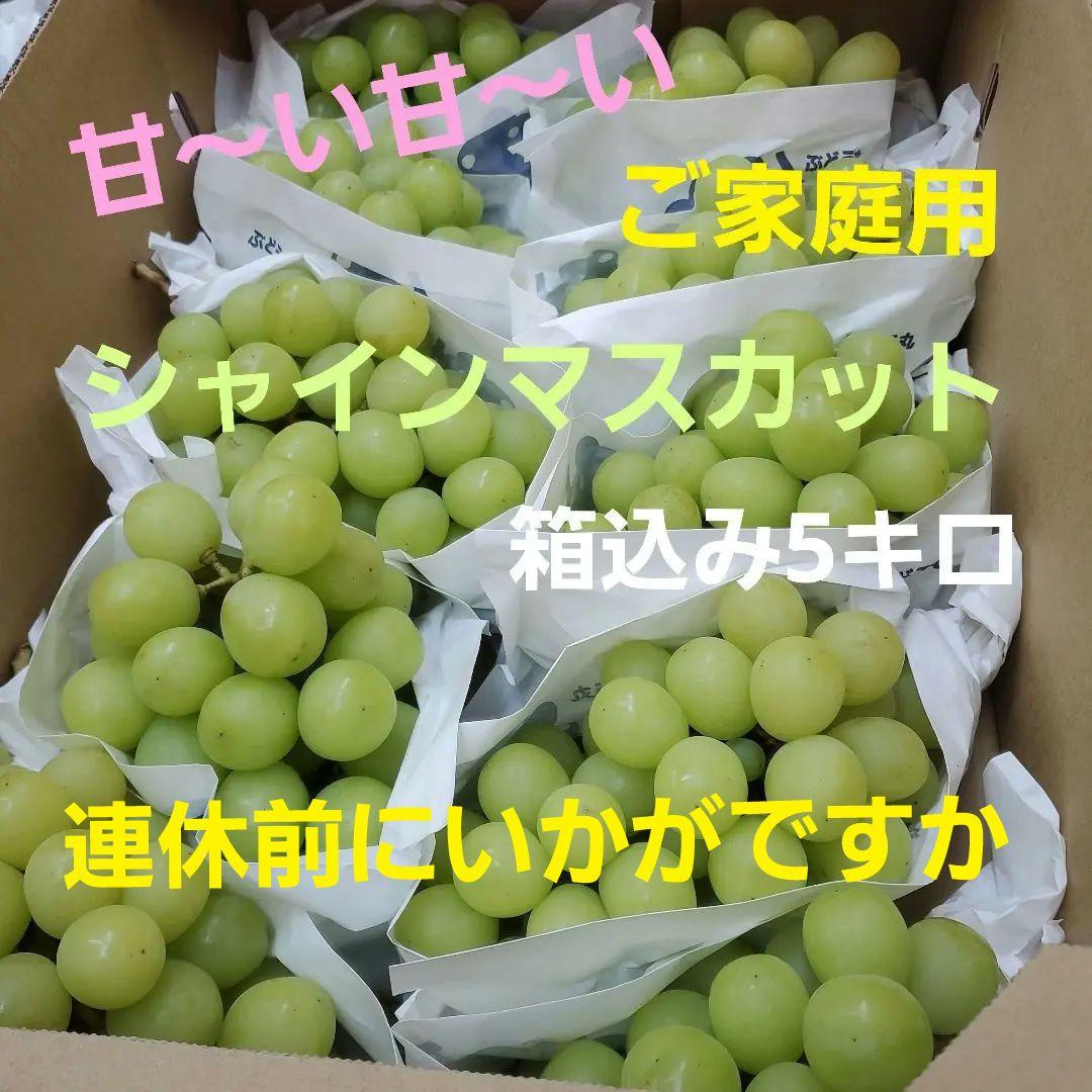 1⃣ 山梨県産 激甘シャインマスカット１０房入り 箱込み５キロ