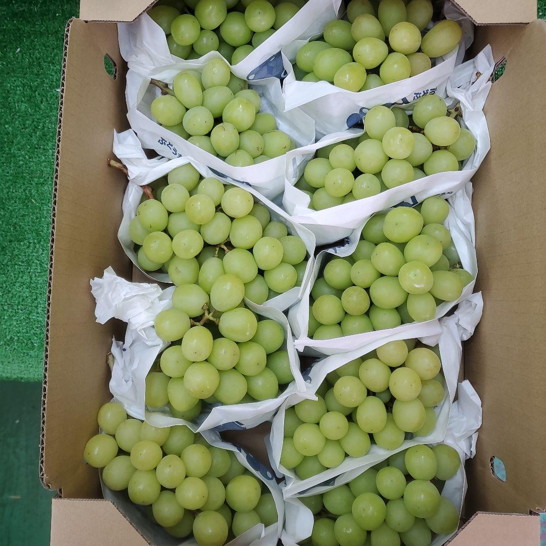 1⃣ 山梨県産 激甘シャインマスカット１０房入り 箱込み５キロ