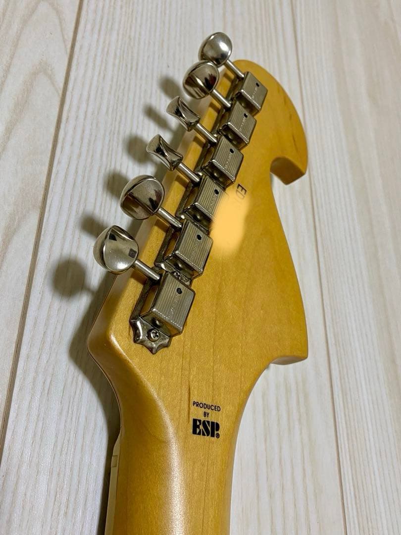 ESP edwards cygnus LEDAモデル　シグナス