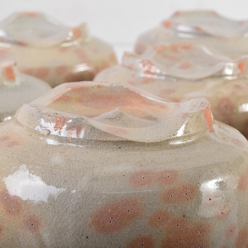 茶道具　赤膚焼　大塩正人造　御本立鶴　数茶碗　八客　共箱　V　R8550B