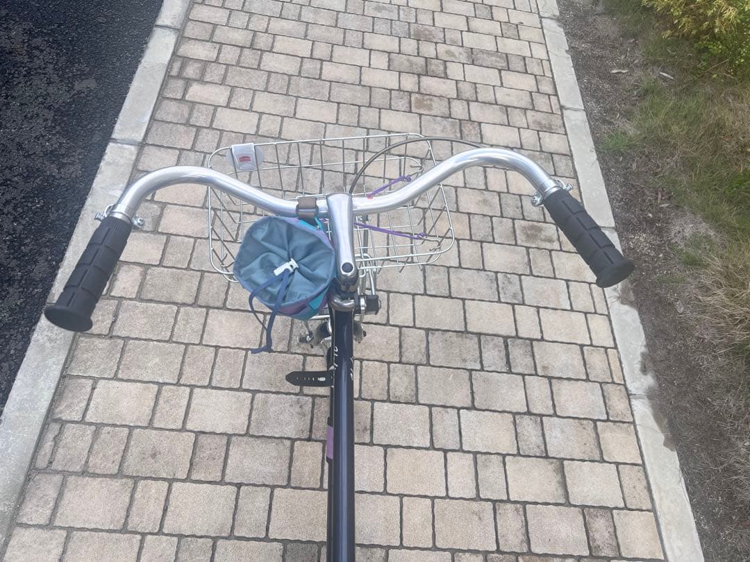 ✳︎引き取り✳︎FUJI HERION ミニベロ