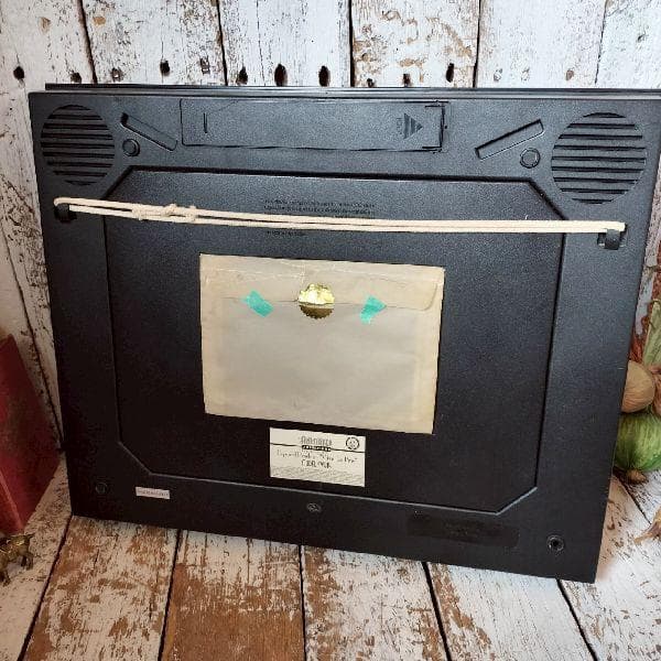 限定 貴重 ルーニーテューンズ ペペルピュー ペネロペ アニメーションフレーム