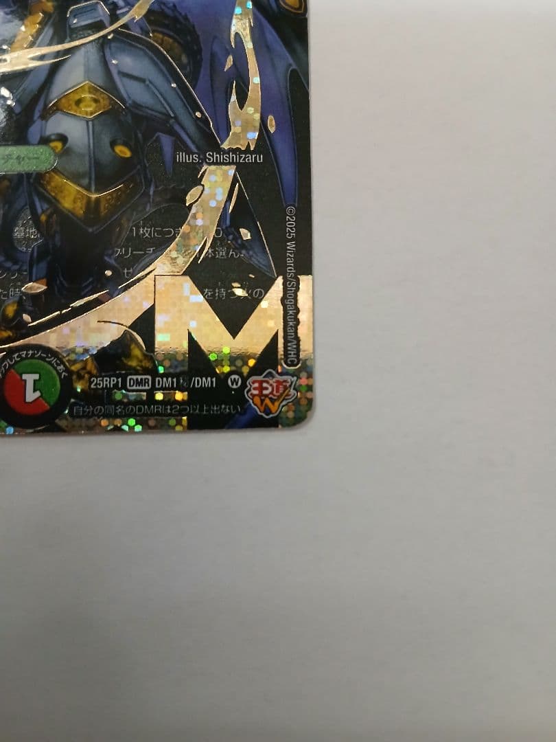 王闘竜皇 ボルシャック・ドラゴン　シークレット　シク　王闘竜王道竜王道竜皇