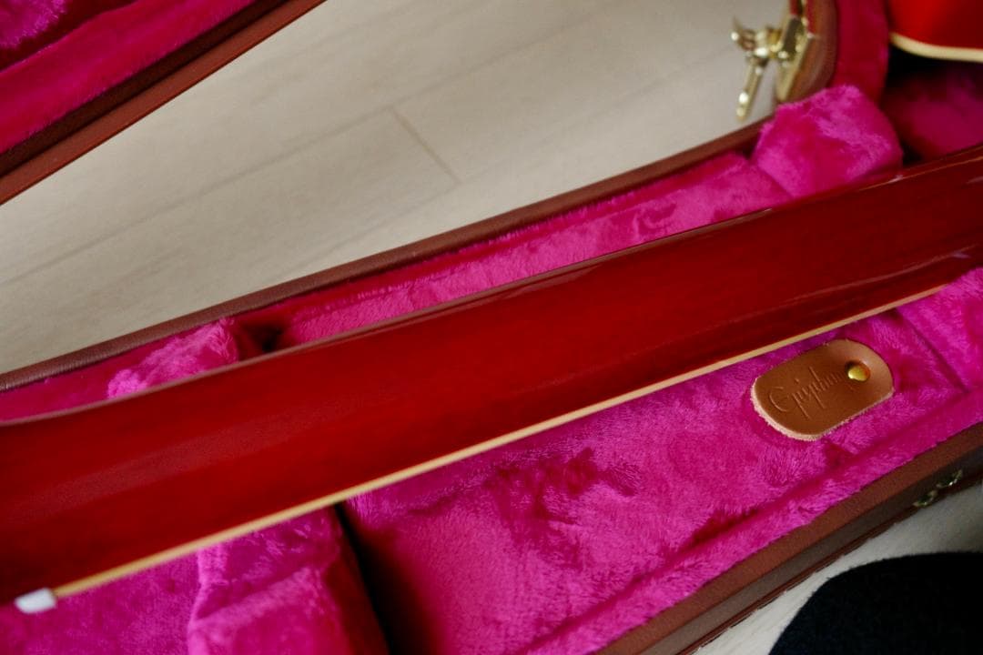 ギター EPIPHONE BACK TO THE FUTURE ES-345