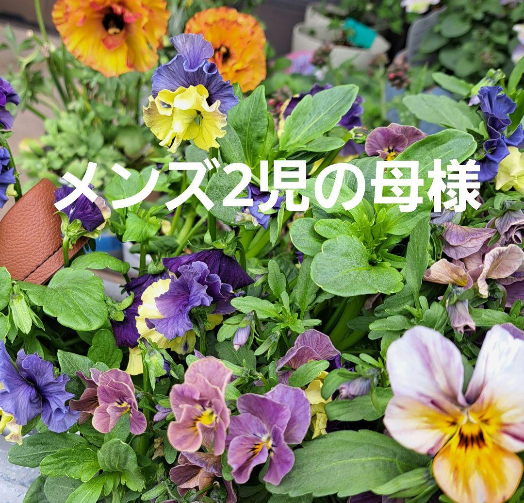 メンズ2児の母です。