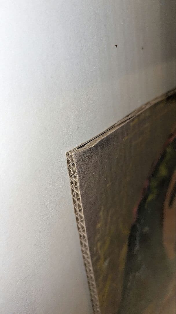 ロッカクアヤコ ダンボール アート作品 サイン有り