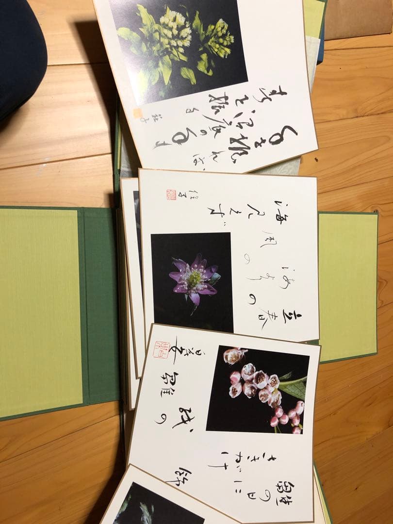 色紙 野の花・歳時記 上下巻セット