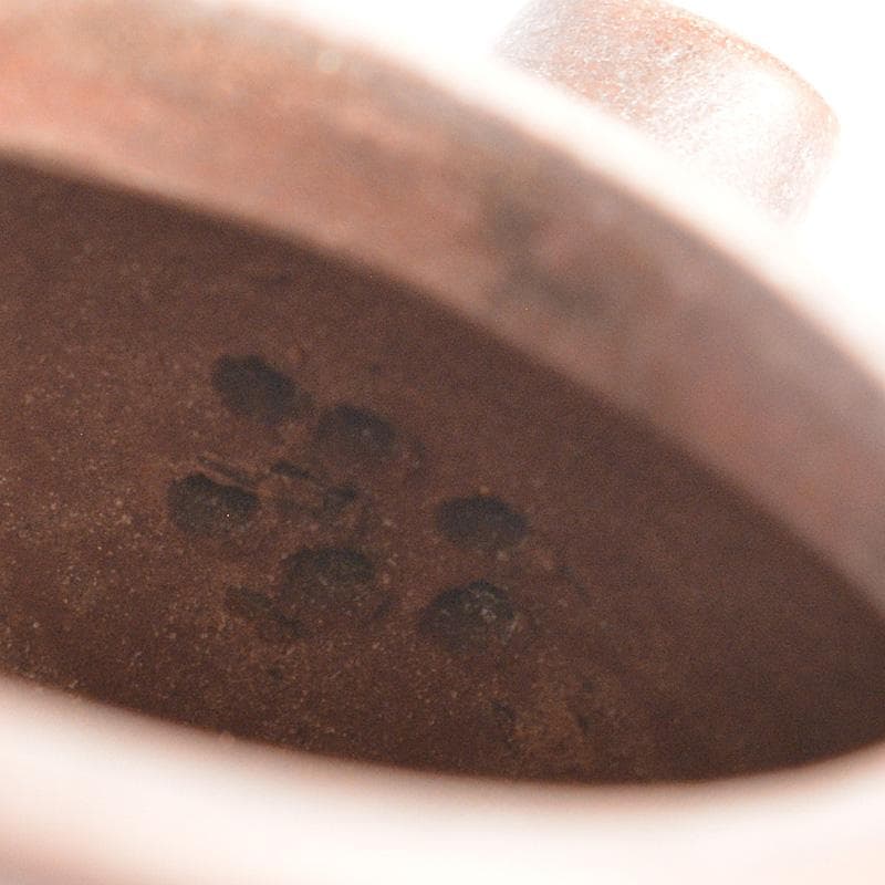 中国　紫砂　朱泥　楼閣山水文　急須　茶壷　在銘　N　6652