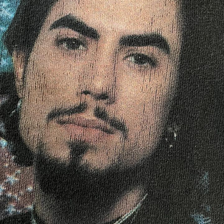 Red Hot Chili Peppers Tシャツ 95 L One レッチリ