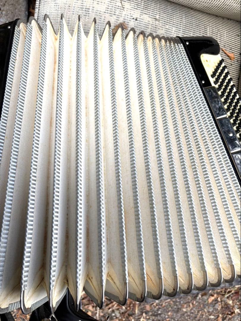 値下げ✨Excelsior 308 アコーディオン