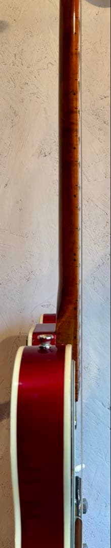 ラグジュアリー テレキャスタータイプ Edwardsボディ仕様