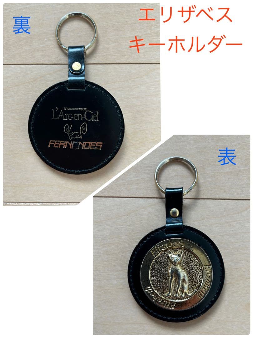 【PINKY】Burny LV150KKフライングV kenモデル セット