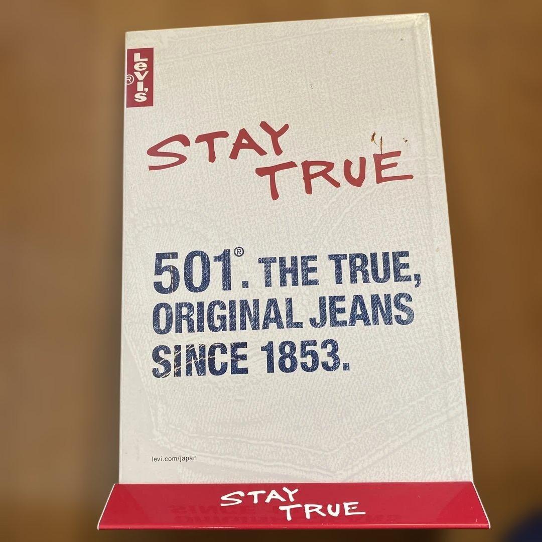 浅井健一　Levi's 501 ポップ　STAY TRUE
