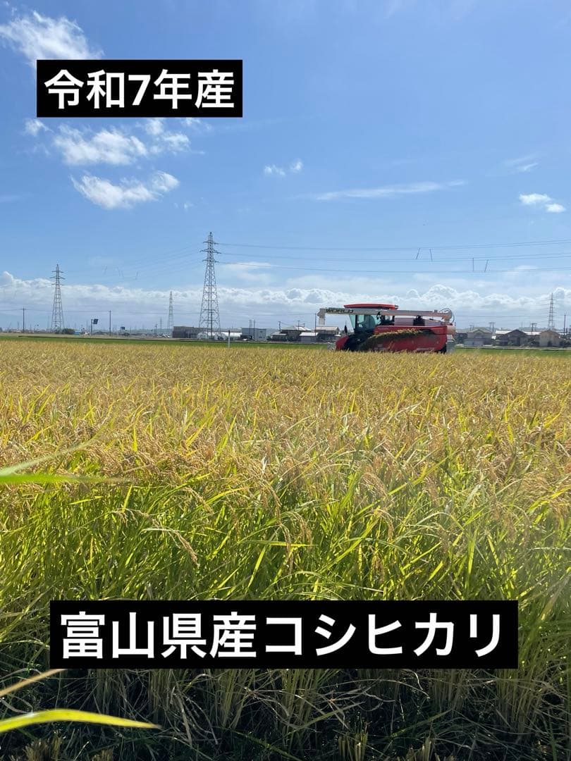 令和7年産 富山県産コシヒカリ　玄米