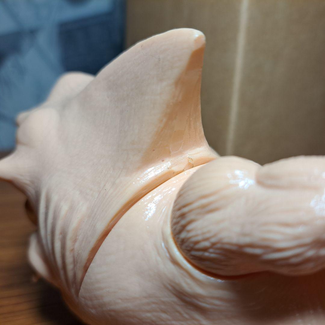 日本製　肌色成型　箱あり　ソフビ　虎鮫　48h creature スタジオ