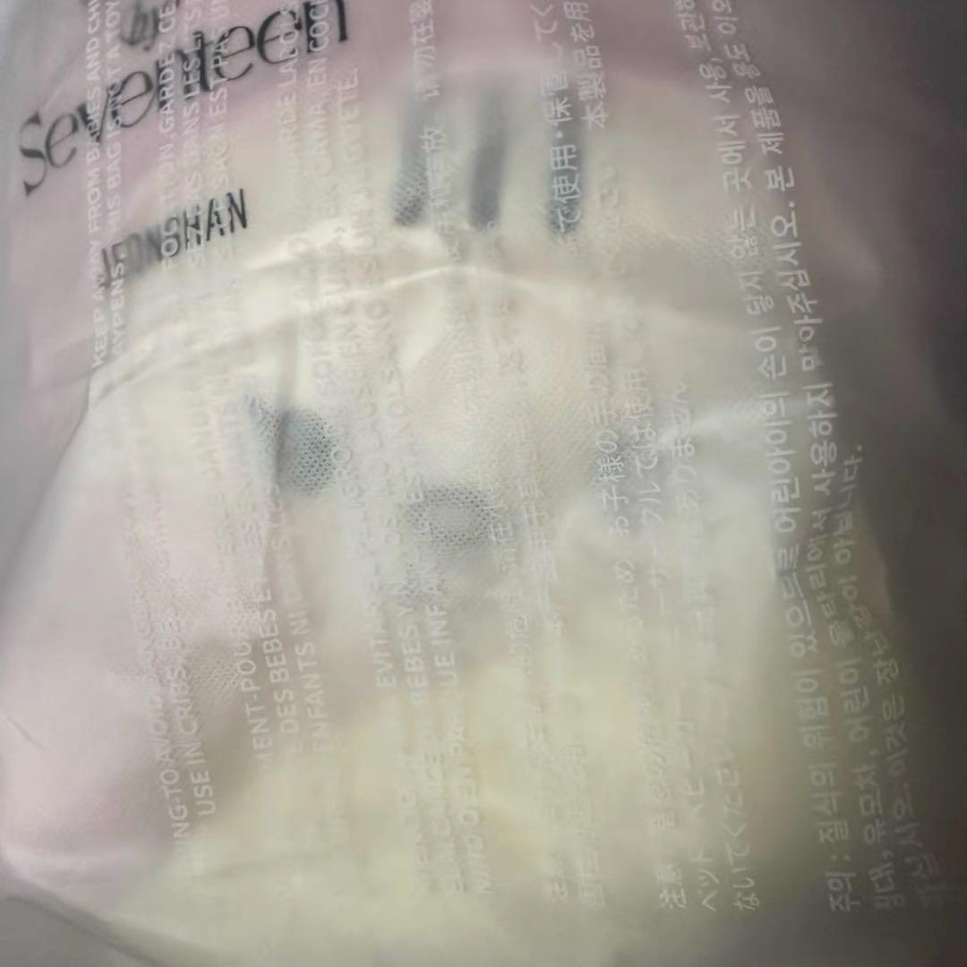 SEVENTEEN JEONGHAN トラム ぬいぐるみ アーティストメイド