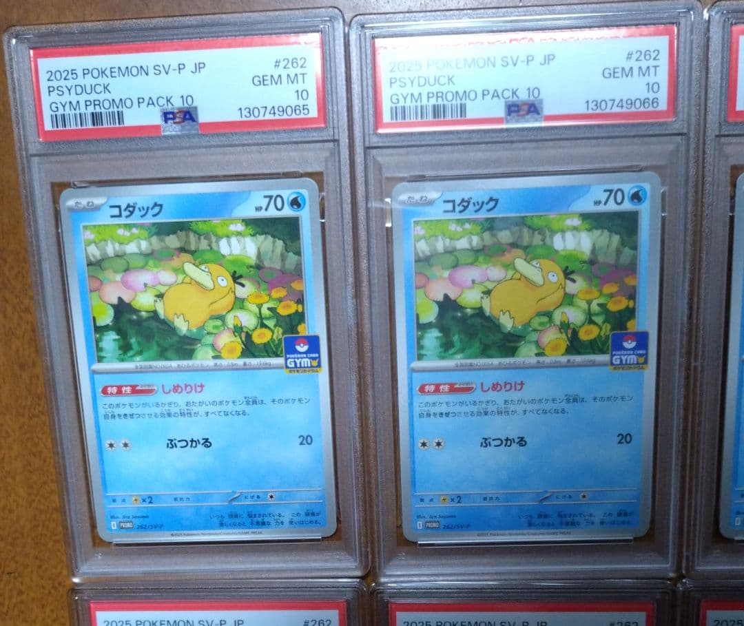【PSA10】コダック しめりけ 262/SV-P ジムプロモ 10枚 連番