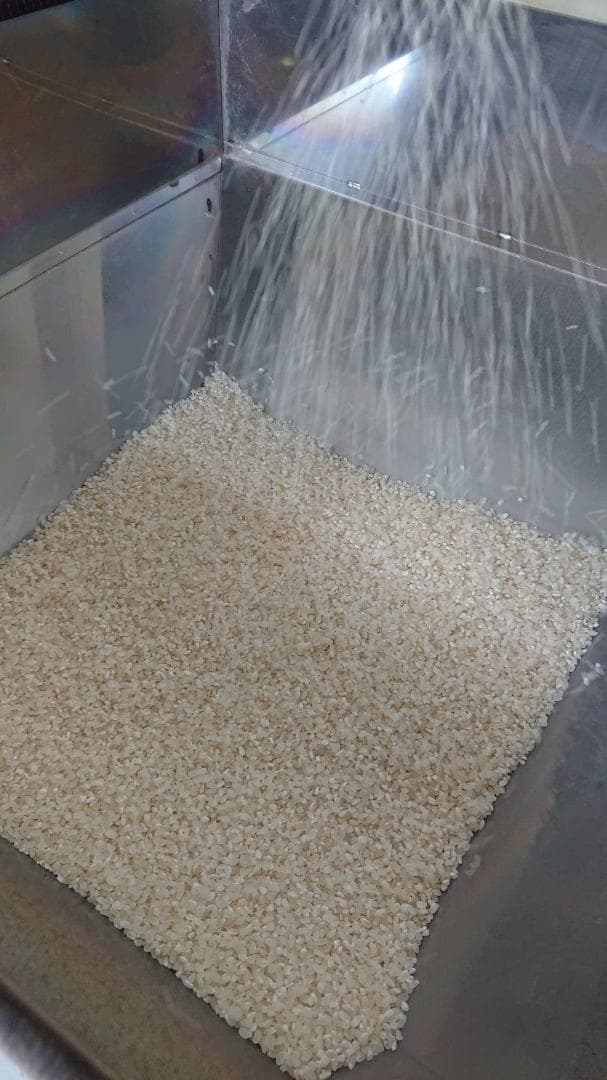 コシヒカリ ２０㎏ こしひかり 精米済み 減農薬 お米 米 白米