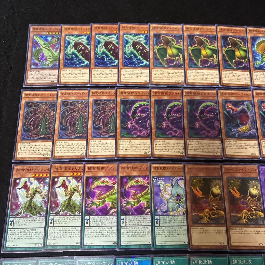 【即日発送】 遊戯王 «捕食植物(新規有)» 構築済みデッキ 115枚 日版