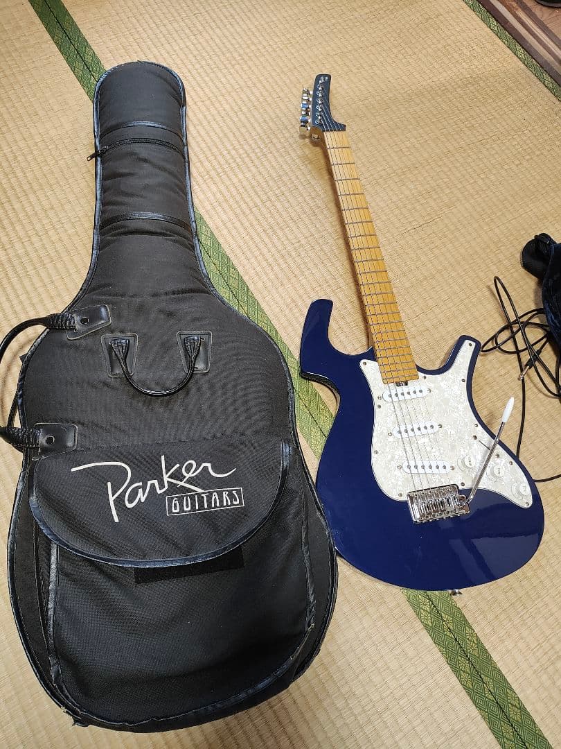Parker ステンレスフレット化、ロックペグ化済