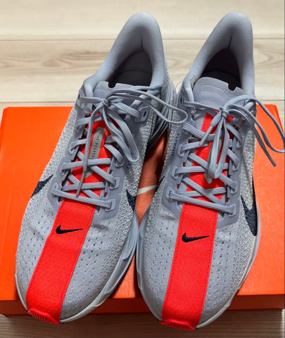 【最終値下】NIKEペガサスプラス