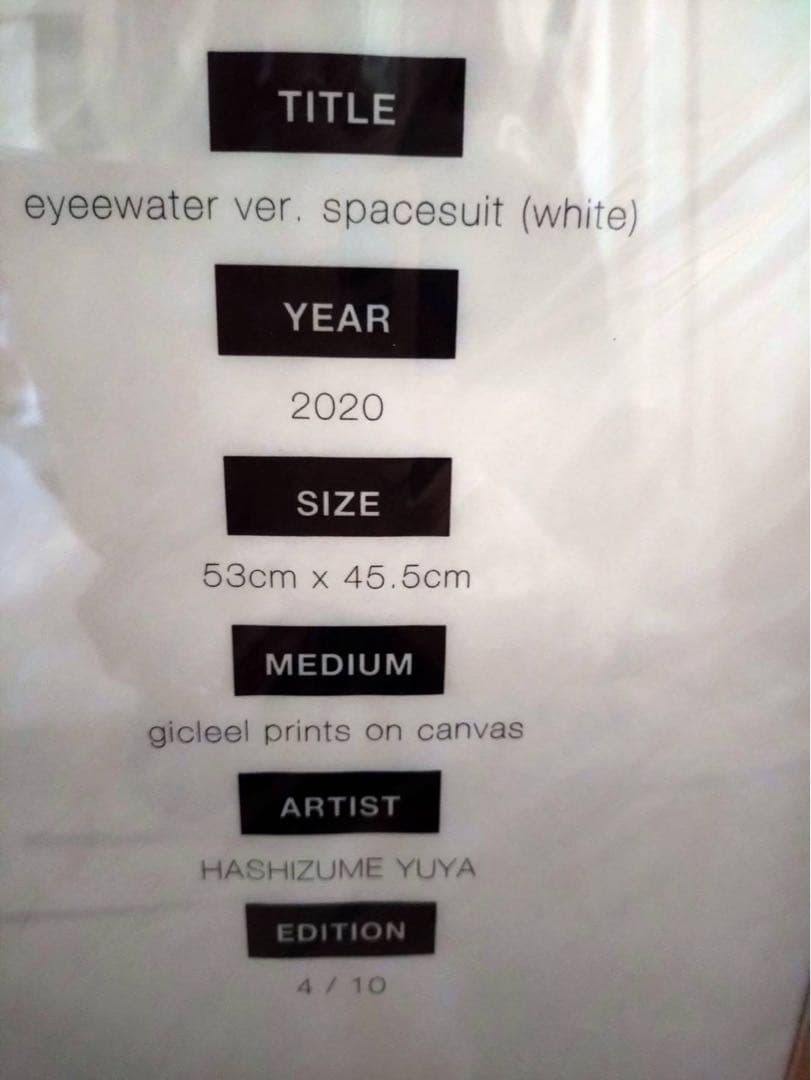 ハシズメユウヤ　入手困難　レア　絵画　高級　橋爪悠也