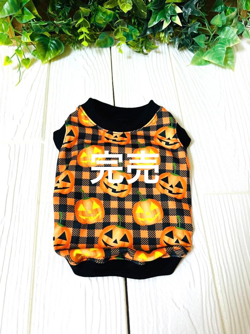犬服ハンドメイド　ハロウィン確認②