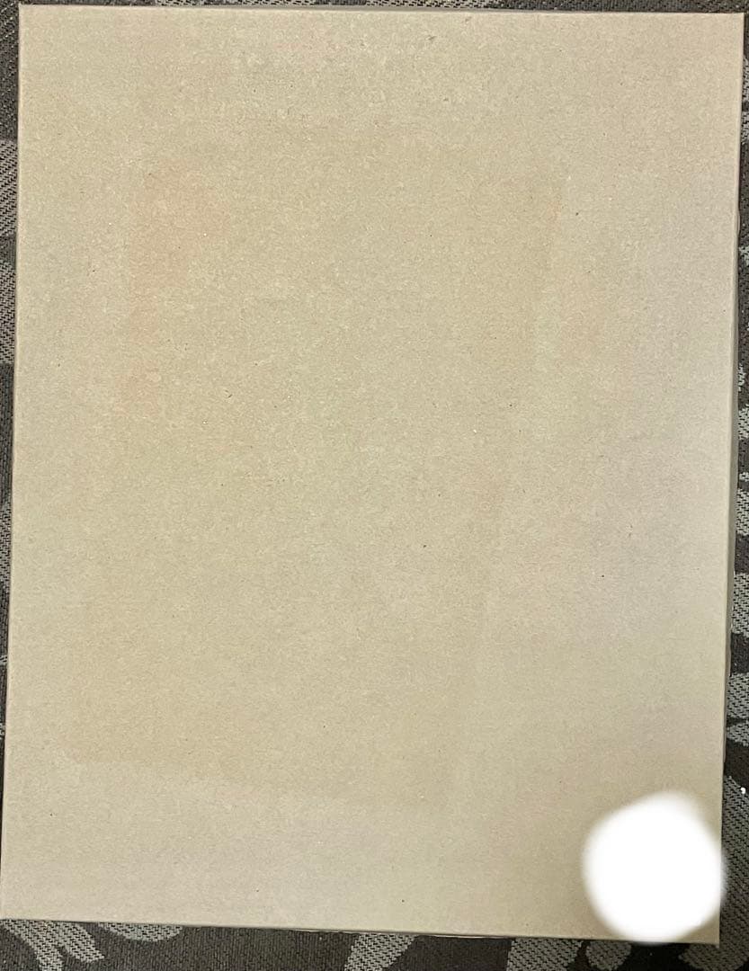 FGO Fes2018 キャラファイングラフ A4