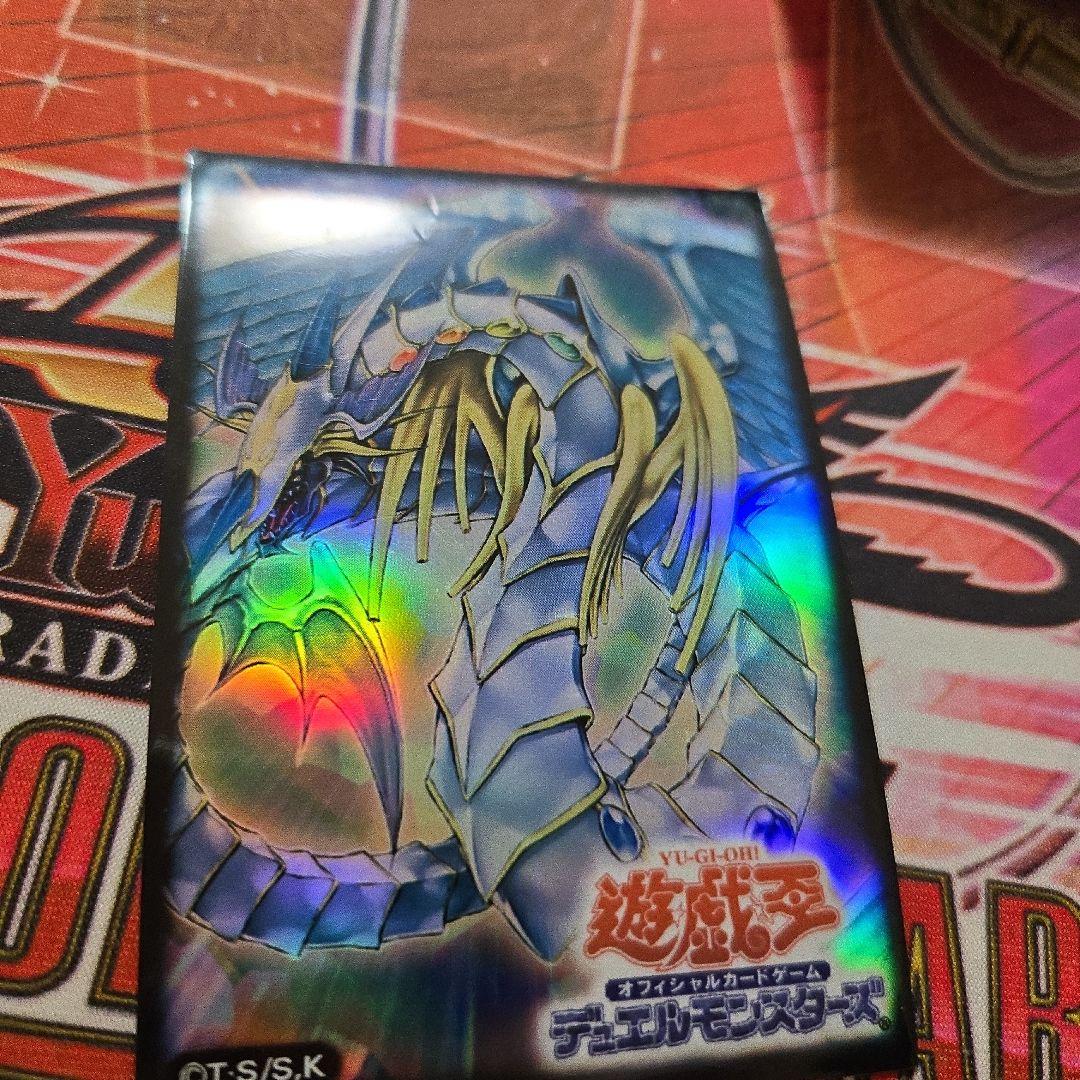 つむぽんさん　レインボードラゴンスリーブ70枚